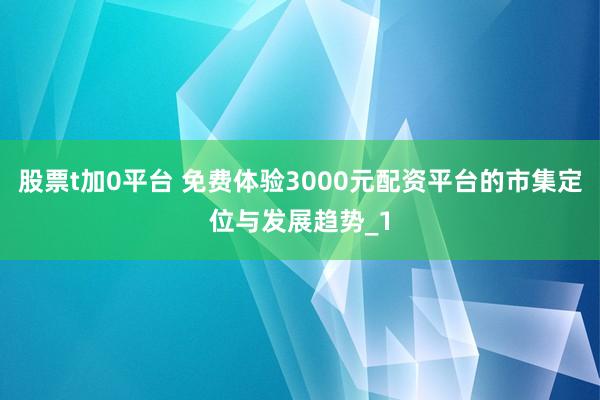 股票t加0平台 免费体验3000元配资平台的市集定位与发展趋势_1
